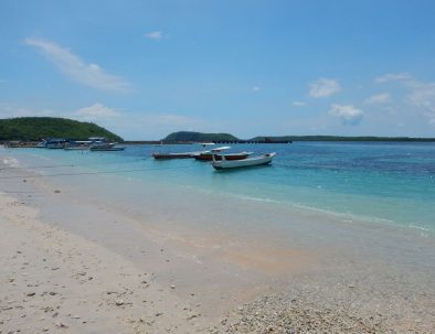 Bevarande av Havssköldpaddor på Bali