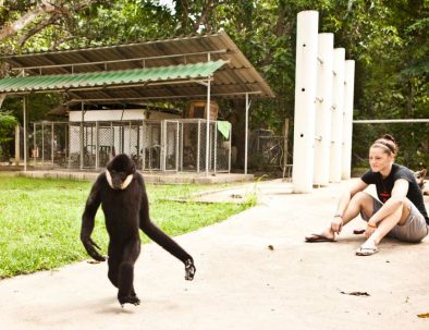 Räddningscenter vilda djur i underbara Thailand