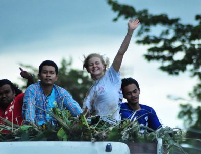 Rehabilitering för asiatiska elefanter i underbara Thailand
