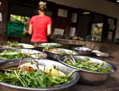 Räddningscenter vilda djur i underbara Thailand