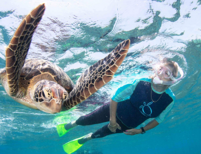 CAIRNS TURTLE REHABILITATION CENTRE
